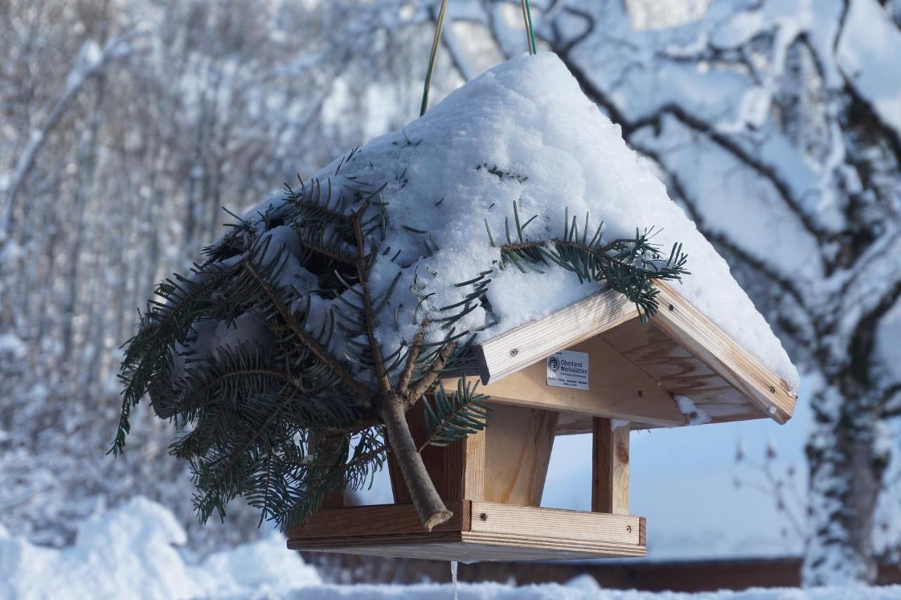 Haus Sonnenblick Ξενοδοχείο Bayrischzell Εξωτερικό φωτογραφία